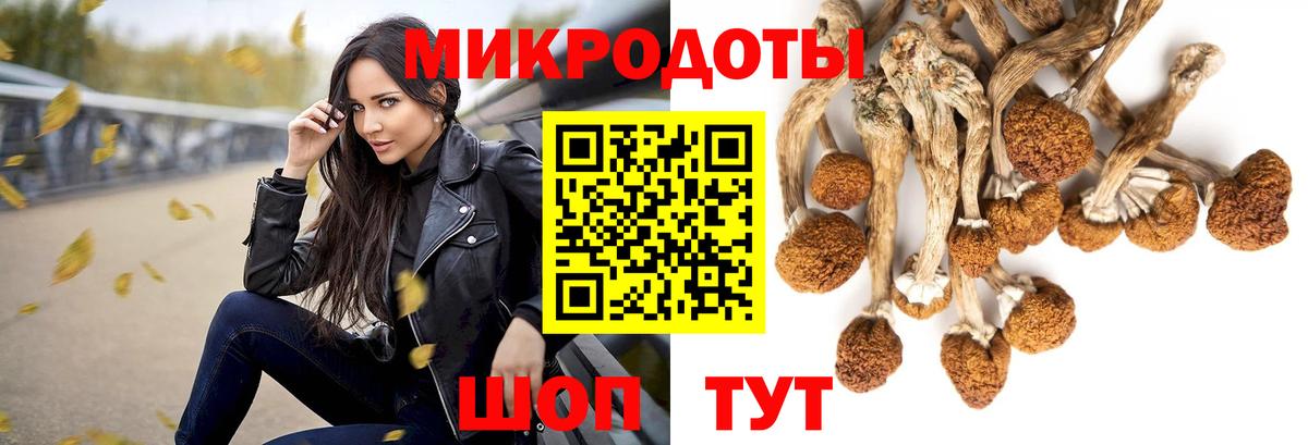 Десногорск  Псилоцибиновые грибы прущие грибы  Вход с VPN  Галлюциногенные грибы мицелий 